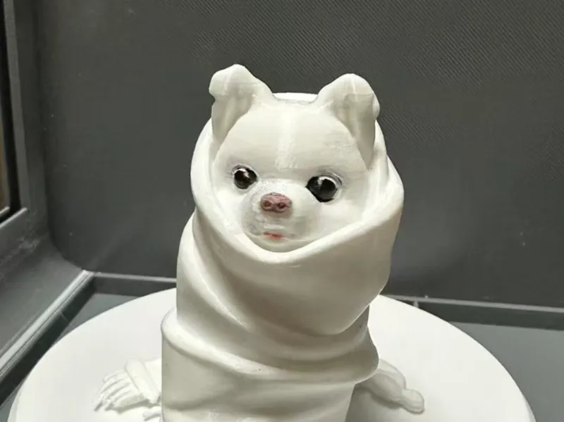 毛巾里的小狗狗