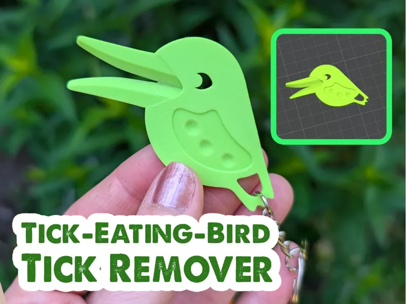 Tick-Eating-Bird Tick Remover Tool