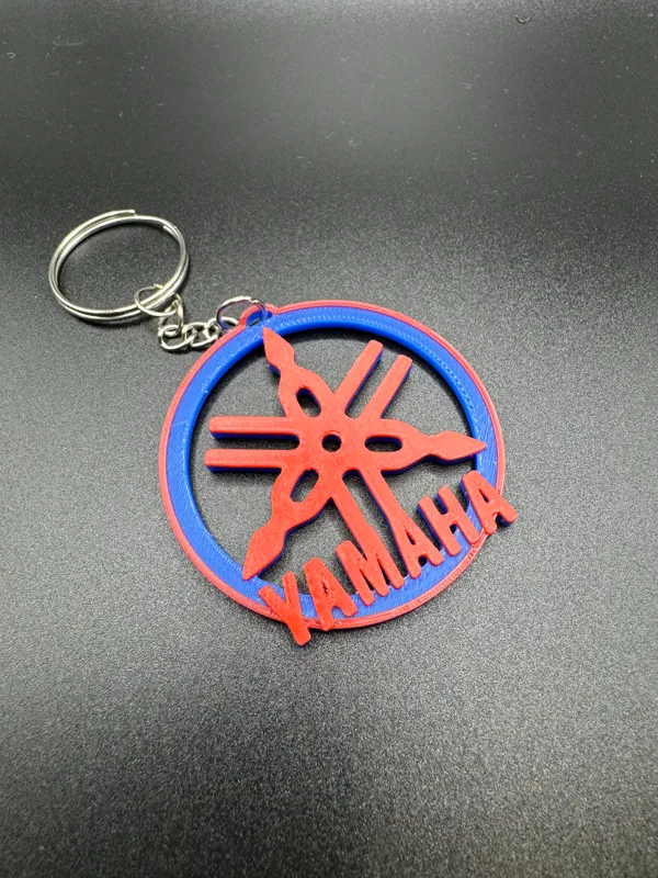 https://makerworld.bblmw.com/makerworld/model/USbb161482d3af1f/design/2024-03-08_678737a8b6bc78.jpg