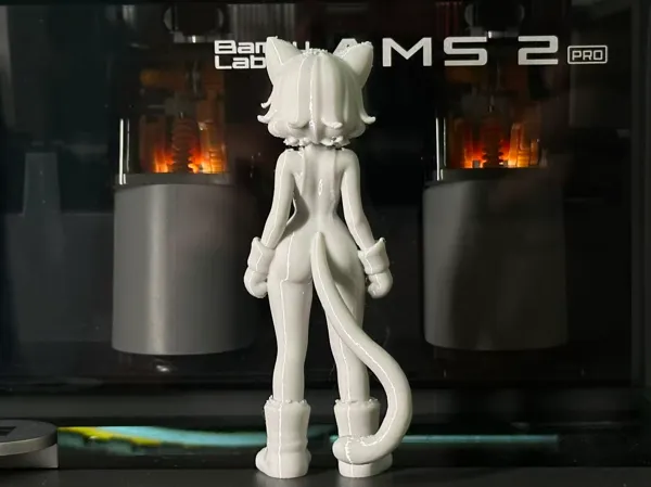 https://makerworld.bblmw.com/makerworld/model/USbb197ebe55fb27/design/793046db67cb2124.jpg