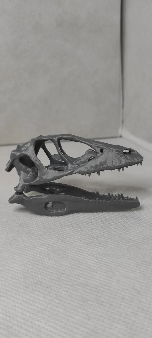 https://makerworld.bblmw.com/makerworld/model/USbb1e083e10d7b1/design/2024-01-03_f4bca6242c316.jpeg