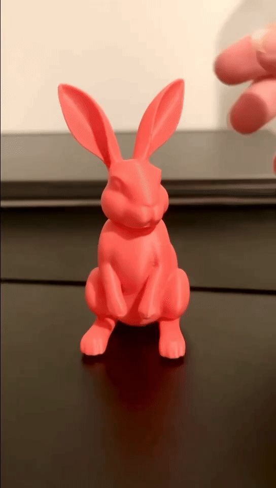 LongNeck Bunny