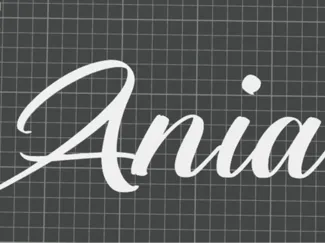 Name Ania. Part of another project, letters "A"