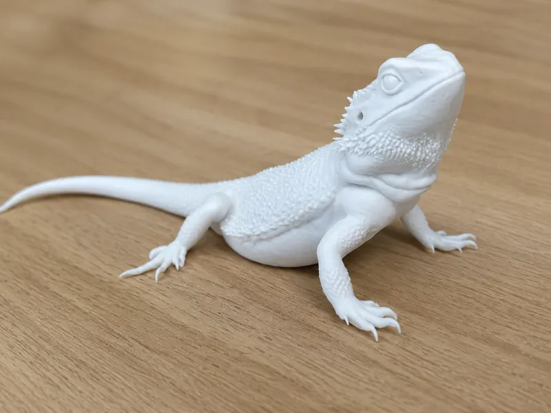 Pogona Deco