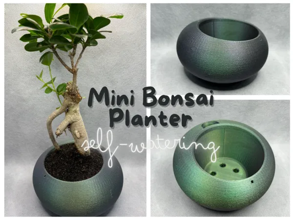https://makerworld.bblmw.com/makerworld/model/USbb2508da452375/design/2024-04-24_15e28d44075358.png