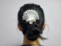 Peigne à cheveux Tricératops — photo 1