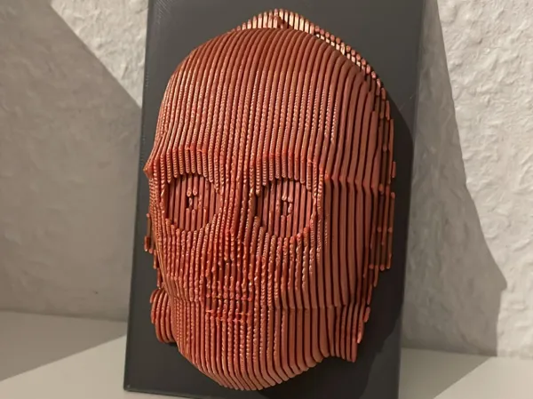 https://makerworld.bblmw.com/makerworld/model/USbb2877cd7816b4/design/2025-02-15_40361b1dd6ad4.jpg