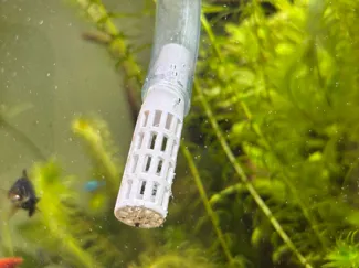 Aquarium Schlauchfilter