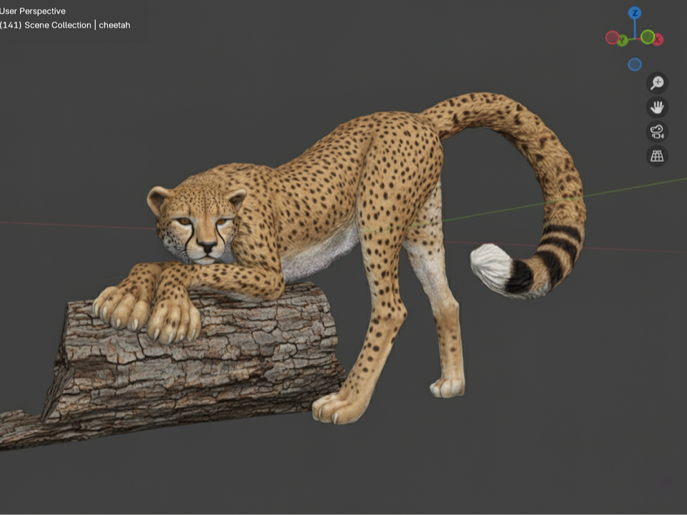 Cheetah Stretching (Anatomically Correct Male)