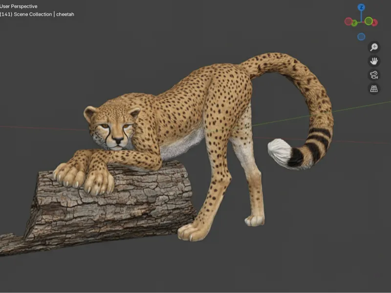 Cheetah Stretching (Anatomically Correct Male)