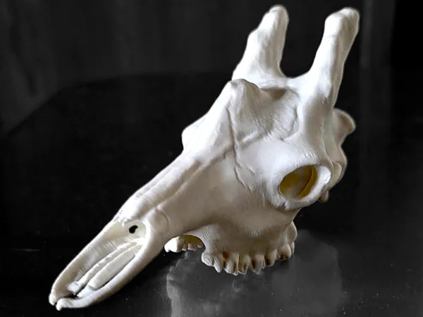 https://makerworld.bblmw.com/makerworld/model/USbb3b3ef786210e/design/2025-05-22_97526adfe4ddc.png