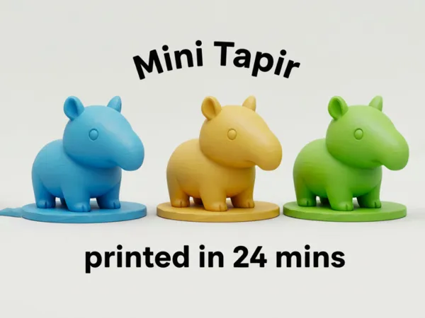 https://makerworld.bblmw.com/makerworld/model/USbb3ca4edf69ae0/design/2025-11-22_c021bd857a3728.jpg