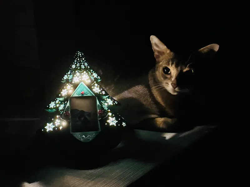 Spin & Glow Christmas Tree Frame