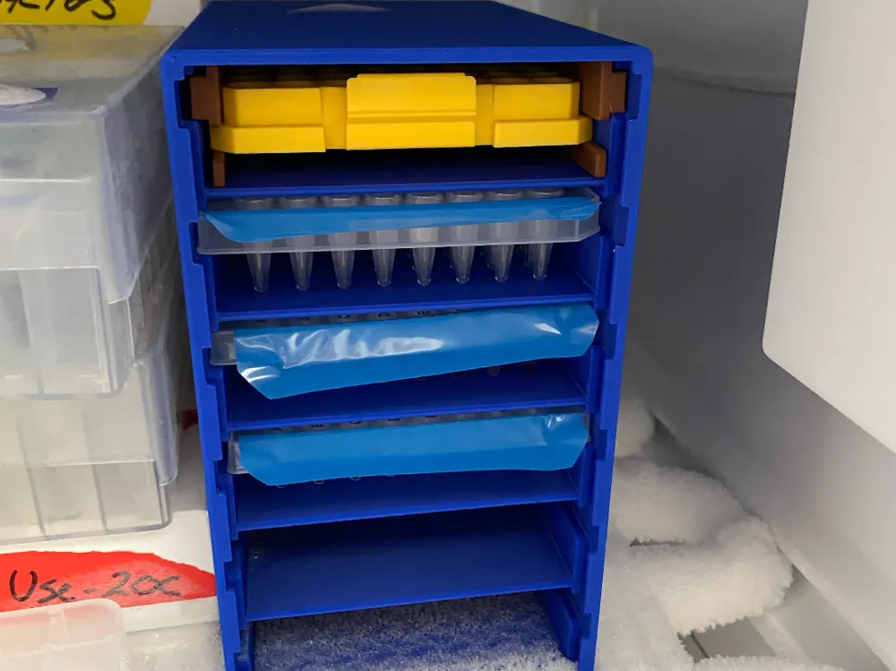 96-well PCR Plate Racks - Free 3D Print Model - MakerWorld