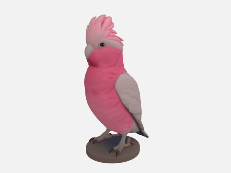 Galah Cockatoo statue