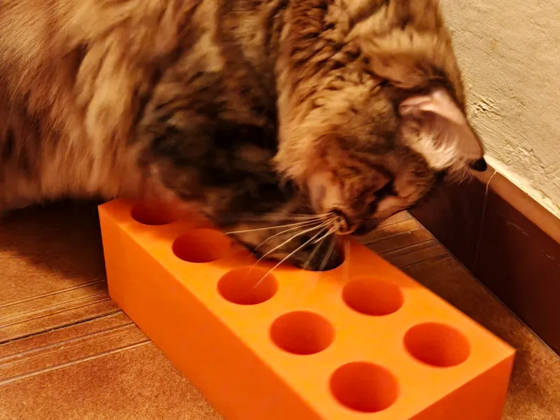Ladrillo con agujeros de juguete para gatos