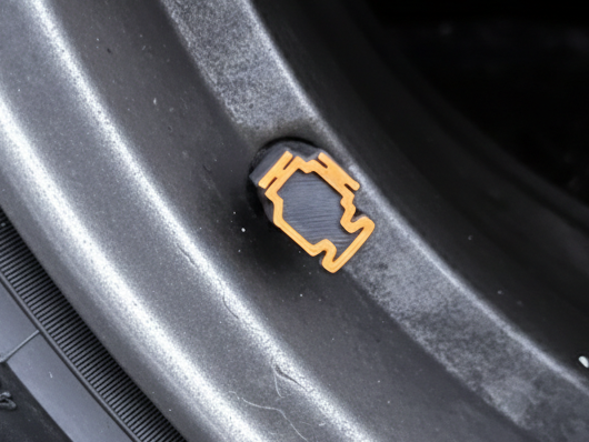 Check Engine Light, MKL, Shrader Valve Cap VW, BMW