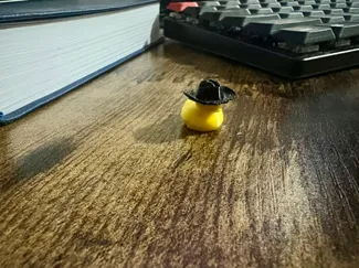 Tiny duck wearing a cowboy hat
