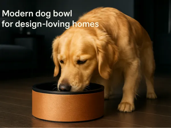 https://makerworld.bblmw.com/makerworld/model/USbb5ad61ab8510e/design/2025-11-18_a7b2af0a1dc268.png