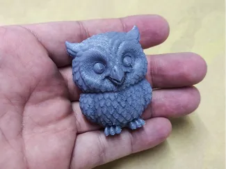 Baby Owl