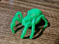 Araignée — photo 2