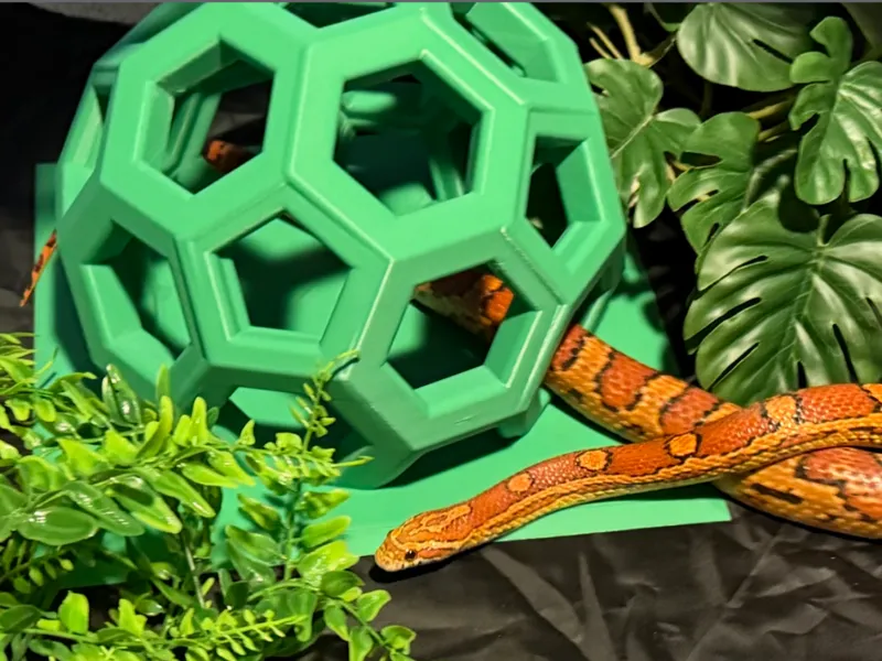 Snake Ball