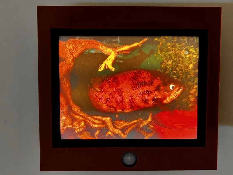 Big Oscar Fish Lithophane