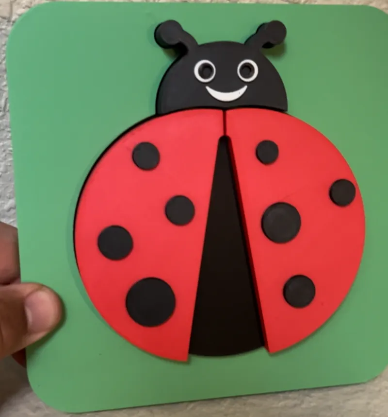 Lady Bug Puzzle