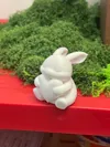 Heart Bunny
