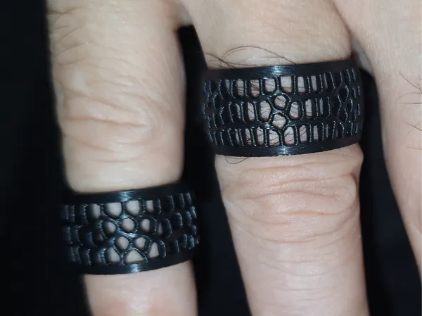 https://makerworld.bblmw.com/makerworld/model/USbb707b9f444c63/design/2025-09-21_13345163a916b8.jpg