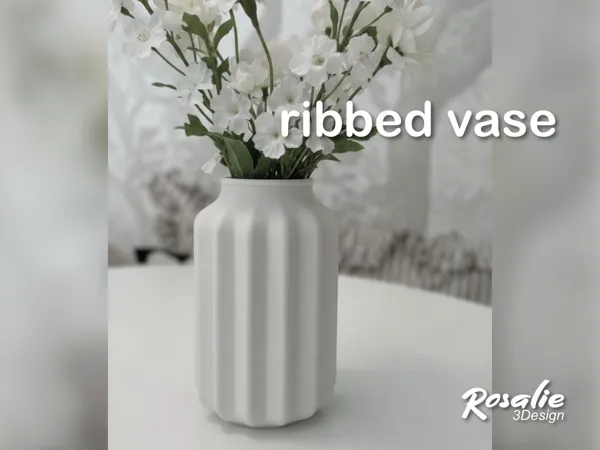 https://makerworld.bblmw.com/makerworld/model/USbb76a3da81292b/design/2025-10-21_d4177d174c62d.jpg