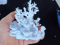 0.2mm 层高, 2 层墙, 10% 填充