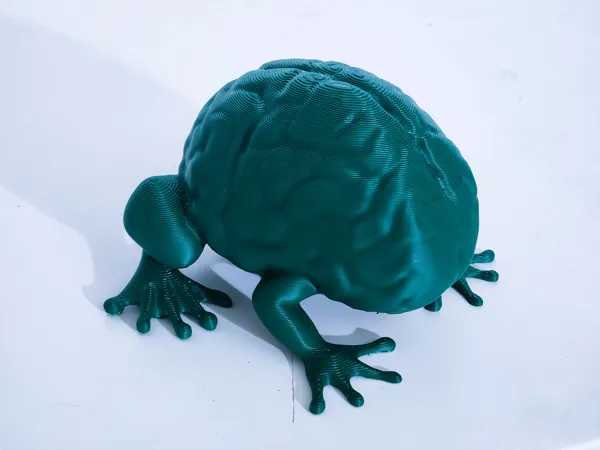 https://makerworld.bblmw.com/makerworld/model/USbb787934476972/design/2024-10-11_a02ffbebc64538.jpg