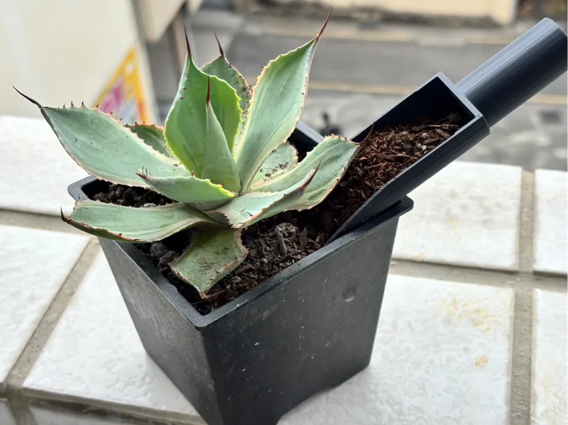 A small shovel for adding soil.