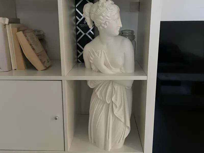 Canova's Venus for Kallax