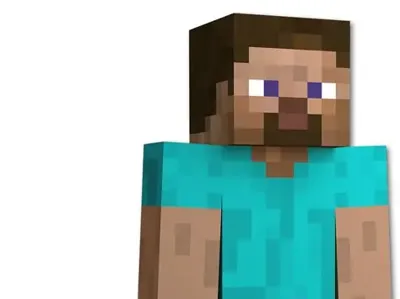 a steve