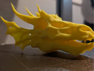 dragon skull