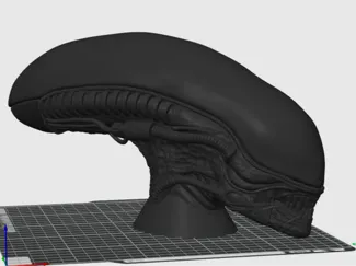 Xenomorph Head Display