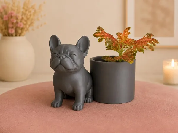 https://makerworld.bblmw.com/makerworld/model/USbb8666f0e17008/design/037a050493267319.jpg