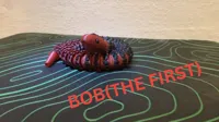 BOB