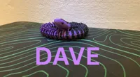 DAVE