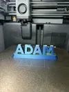 Adam Normal Size