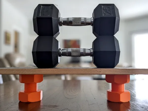 https://makerworld.bblmw.com/makerworld/model/USbb914b9ffe7b20/design/2025-03-04_55fb32008b6de.png