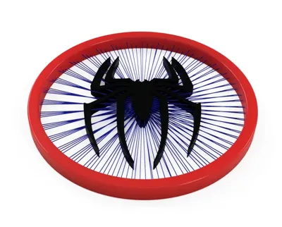 Spider in a net - String art