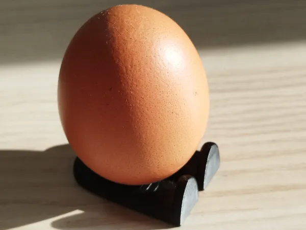 https://makerworld.bblmw.com/makerworld/model/USbb9765b5c3f51a/design/2025-04-02_05b0c6d1db5e3.jpg