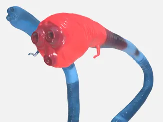 ELDEN RING 霊アナゴ