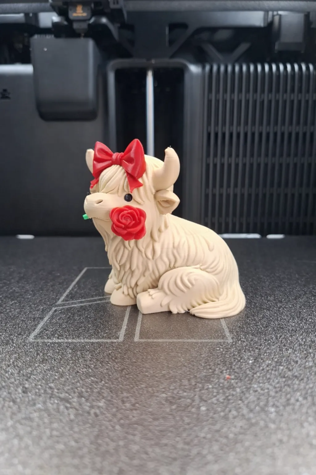 Valentine Highland Cow view 4