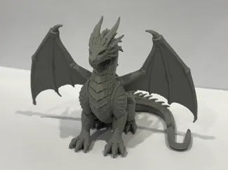 The Guardian Dragon 