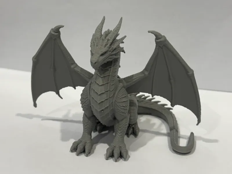 The Guardian Dragon