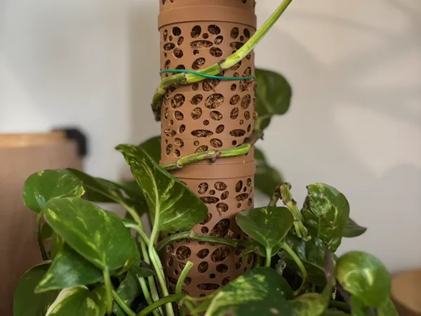 https://makerworld.bblmw.com/makerworld/model/USbbaa5414983364/design/2025-04-27_a1e51bacf05cd.jpeg